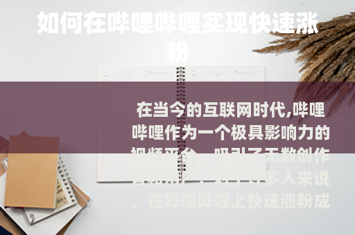 如何在哔哩哔哩实现快速涨粉