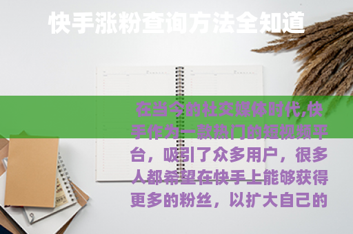 快手涨粉查询方法全知道