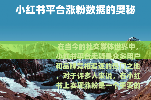 小红书平台涨粉数据的奥秘