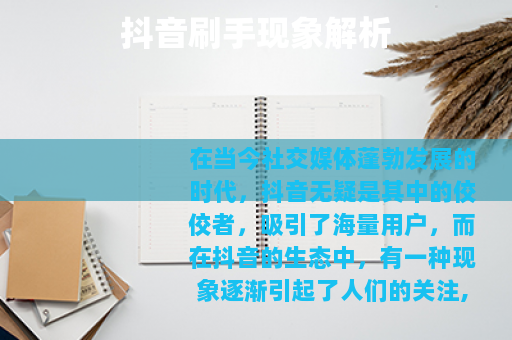 抖音刷手现象解析