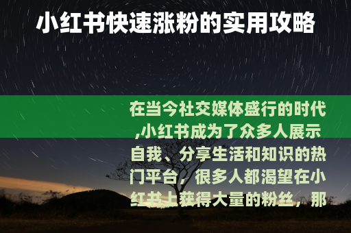 小红书快速涨粉的实用攻略