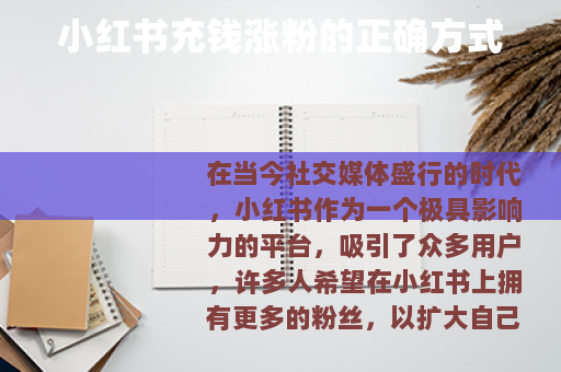 小红书充钱涨粉的正确方式