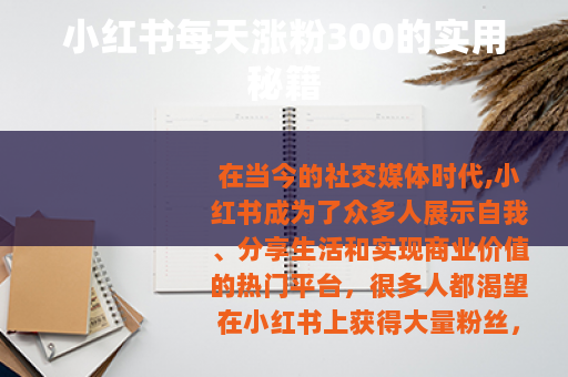 小红书每天涨粉300的实用秘籍
