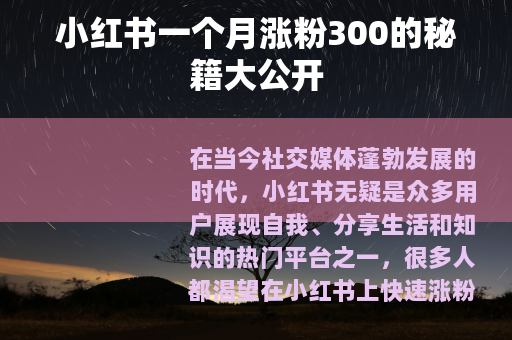 小红书一个月涨粉300的秘籍大公开