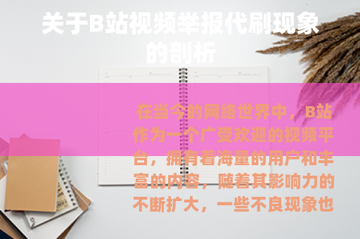 关于B站视频举报代刷现象的剖析