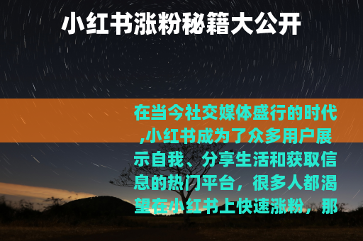 小红书涨粉秘籍大公开