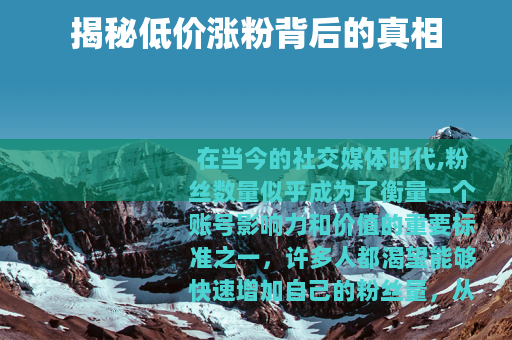揭秘低价涨粉背后的真相