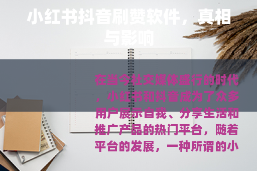 小红书抖音刷赞软件，真相与影响