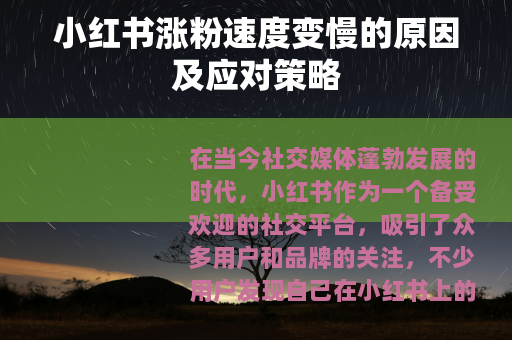 小红书涨粉速度变慢的原因及应对策略
