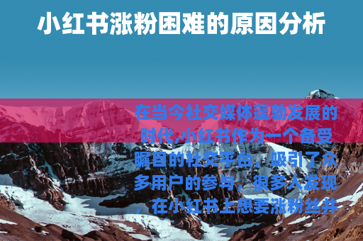 小红书涨粉困难的原因分析