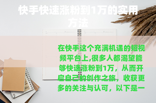 快手快速涨粉到1万的实用方法