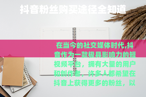 抖音粉丝购买途径全知道