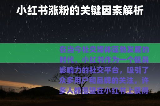 小红书涨粉的关键因素解析