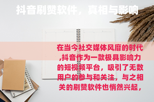 抖音刷赞软件，真相与影响