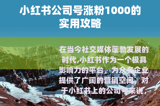 小红书公司号涨粉1000的实用攻略