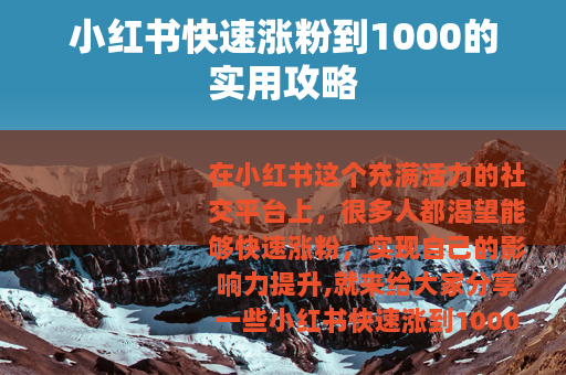小红书快速涨粉到1000的实用攻略