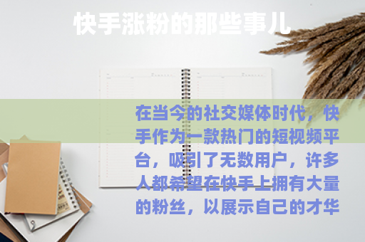 快手涨粉的那些事儿