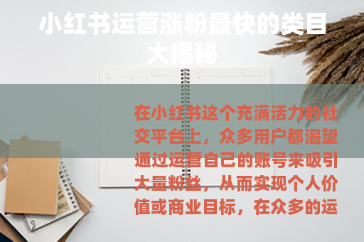 小红书运营涨粉最快的类目大揭秘