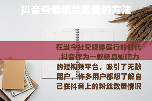 抖音查看粉丝数量的方法