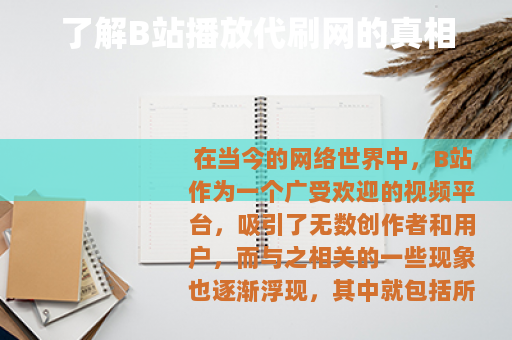 了解B站播放代刷网的真相