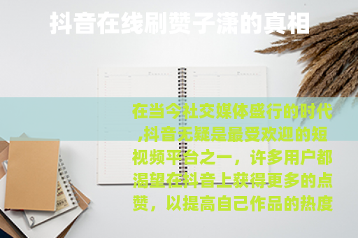 抖音在线刷赞子潇的真相