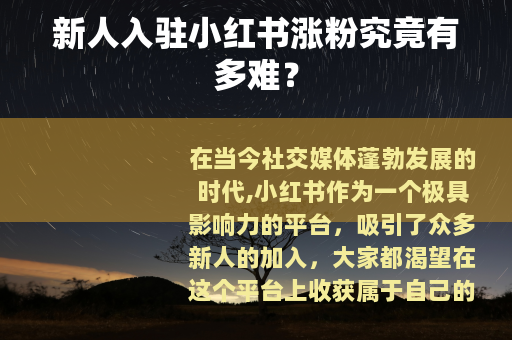 新人入驻小红书涨粉究竟有多难？
