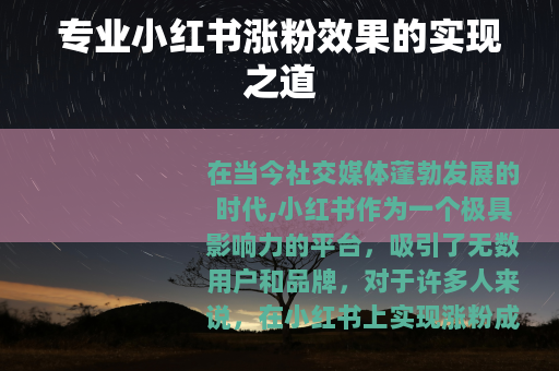 专业小红书涨粉效果的实现之道