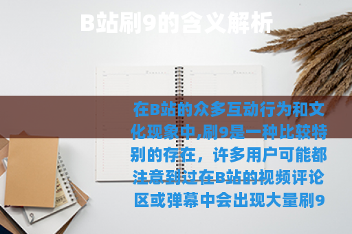 B站刷9的含义解析