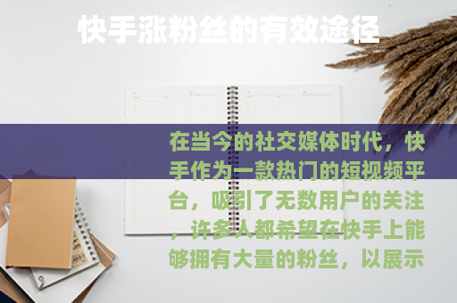 快手涨粉丝的有效途径