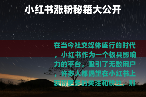 小红书涨粉秘籍大公开