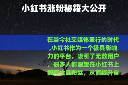 小红书涨粉秘籍大公开