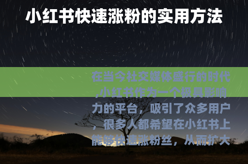 小红书快速涨粉的实用方法