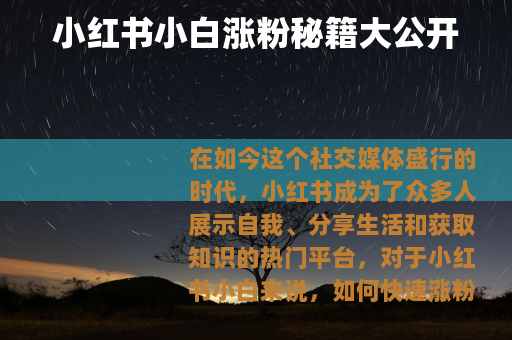 小红书小白涨粉秘籍大公开