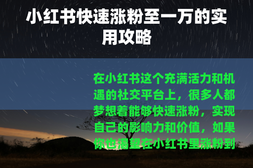 小红书快速涨粉至一万的实用攻略