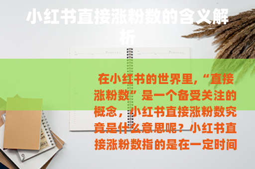 小红书直接涨粉数的含义解析