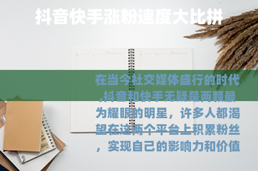 抖音快手涨粉速度大比拼