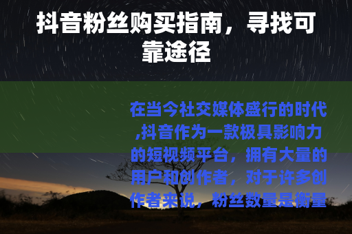 抖音粉丝购买指南，寻找可靠途径