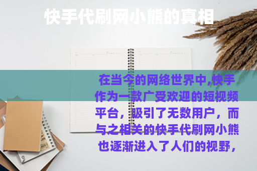 快手代刷网小熊的真相