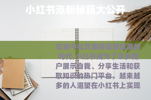 小红书涨粉秘籍大公开