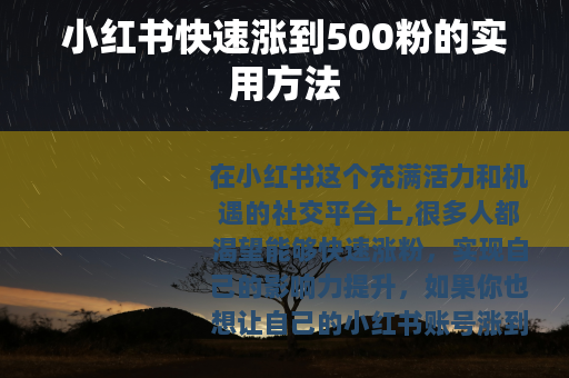 小红书快速涨到500粉的实用方法