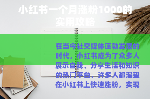 小红书一个月涨粉1000的实用攻略