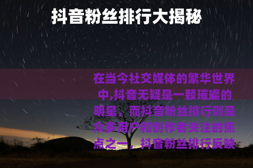 抖音粉丝排行大揭秘