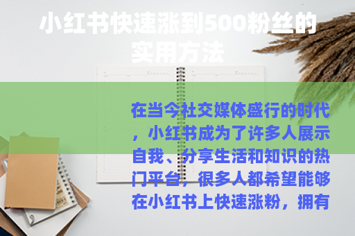 小红书快速涨到500粉丝的实用方法