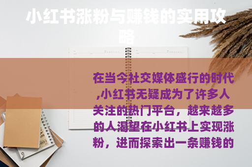 小红书涨粉与赚钱的实用攻略