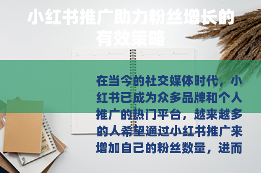 小红书推广助力粉丝增长的有效策略
