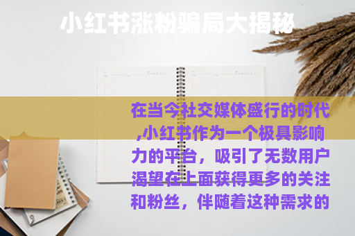 小红书涨粉骗局大揭秘