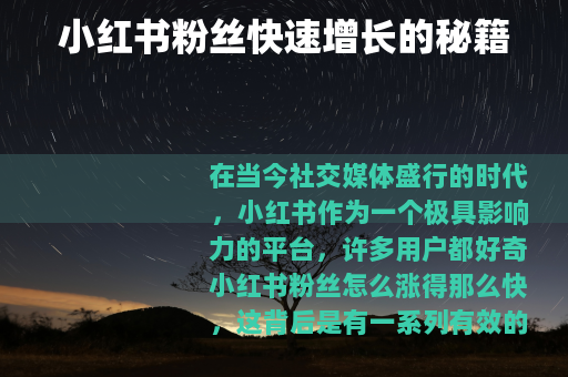 小红书粉丝快速增长的秘籍