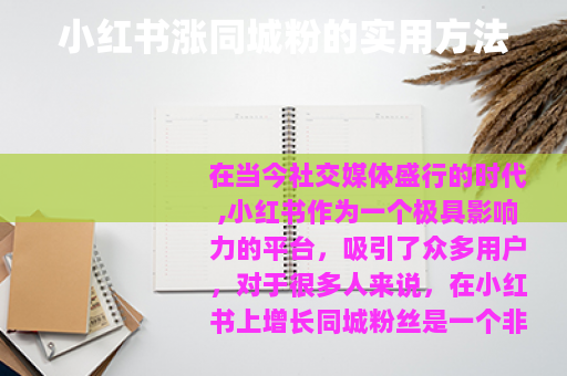 小红书涨同城粉的实用方法