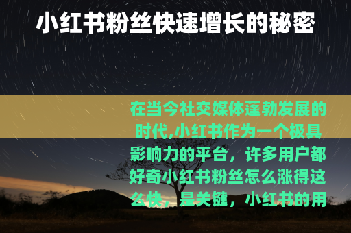 小红书粉丝快速增长的秘密