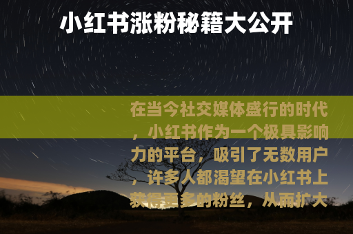 小红书涨粉秘籍大公开